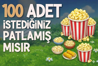 100 ADET İSTEDİĞİNİZ PATLAMIŞ MISIRLAR