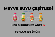 100 ADET KARIŞIK MEYVE SUYU