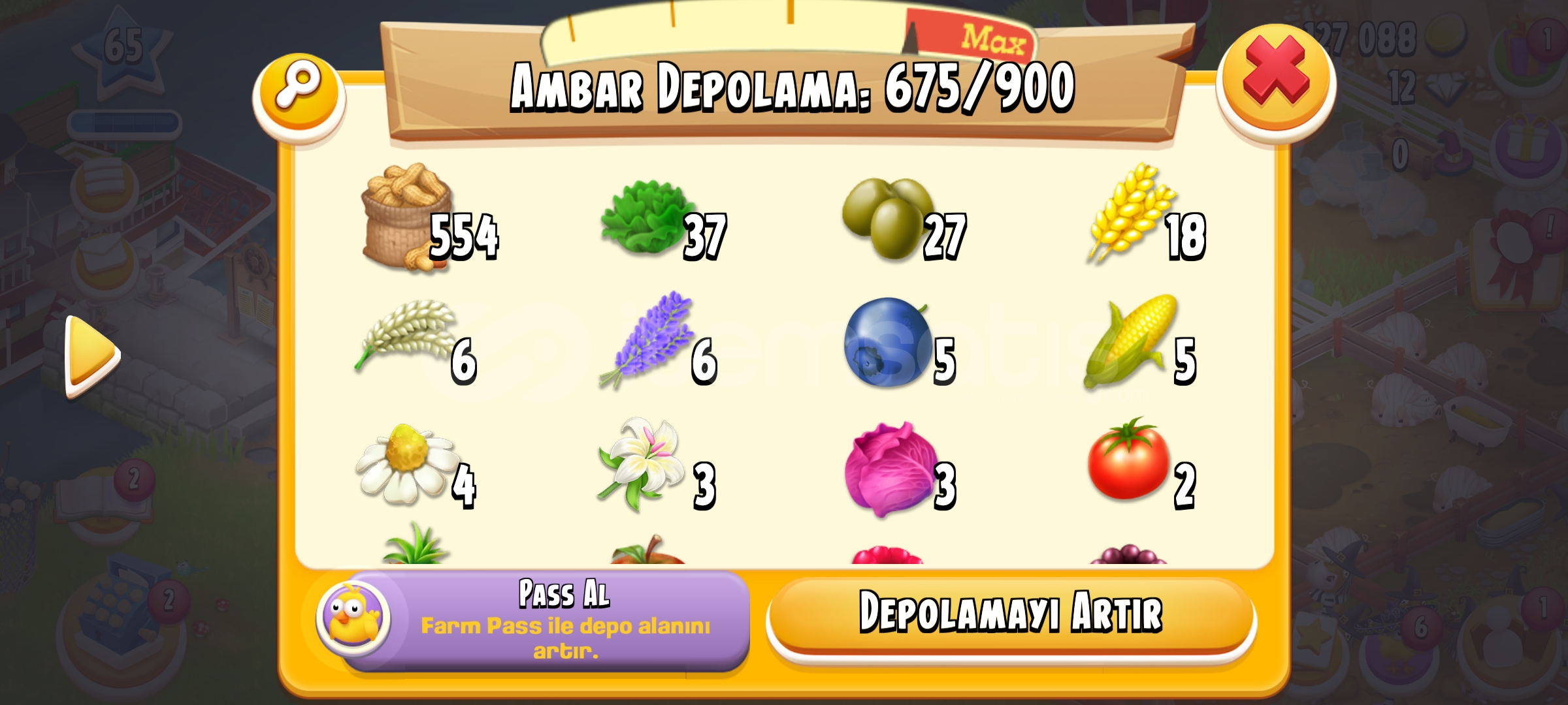 100 adet yer fıstığı 100 adet yer fıstığı