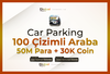 100 Çizimli/Desenli CPM Hesap | Oto Teslimat