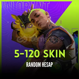 100+ LEVEL RANDOM HESAP 