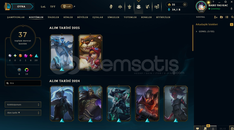 100 lvl hesap (bronz)