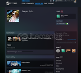 100 OG OYUNLU 2008 KİŞİSEL STEAM HESABI