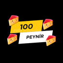 100 PEYNİR