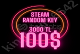 100$ Steam Random Key