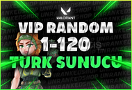 %100 TR 1-120 SKİN RANDOM HESAPLAR