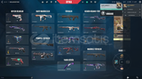 [%100 TR] 226 Level 60+ Skin Valorant Random