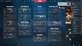 [%100 TR] 342 Lvl 300+ Skin Valorant Random