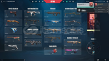 [%100 TR] 45 Level 100+ Skin Valorant Random