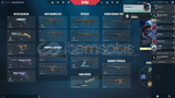 [%100 TR] 129 Lvl 40+ Skin Valorant Random