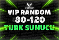 %100 TR 80-120 SKİN RANDOM HESAPLAR