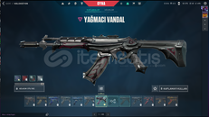 %100 TR YAGMACI VANDALLI HESAP