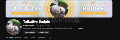 1000 Aboneli Youtube muhabbet kuşu kanalı