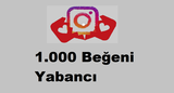 1000 BEĞENİ YABANCI instagram 