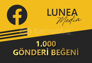 1.000 FACEBOOK GÖNDERİ BEĞENİ