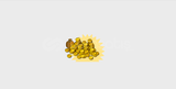 1000 Habbo Coins