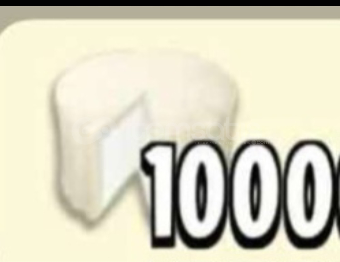1000 Keçi peyniri 1000 Keçi peyniri