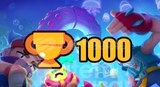 1000 Kupa boost