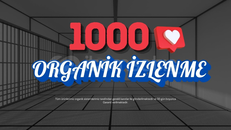 1000 ORGANİK Youtube İzlenme(A.B.D. İP)