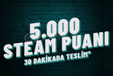 5.000 STEAM PUANI