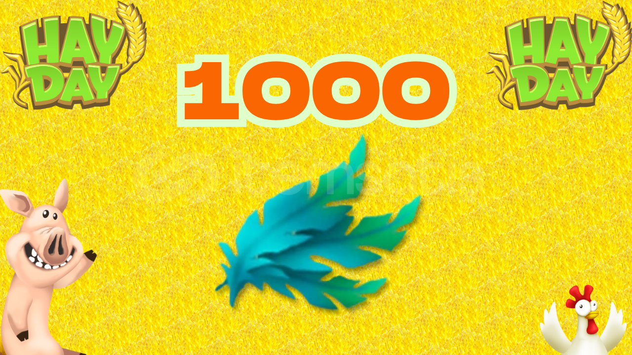 1000 Tüy 1000 Tüy