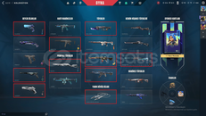 10000TL YATIRILMIŞ FULL DOLU DİA 2 TR SERVER