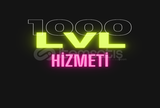 1000LVL Hizmeti 