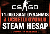 11 OYUN 11000 SAAT | FACEIT HAZIR | Steam Hesap