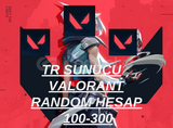 %100TR 100-300 Skin Valorant Random Hesap