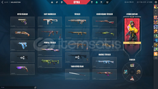 %100TR 110 LVL FULL DOLU 21K YATIRILMIŞ HESAP