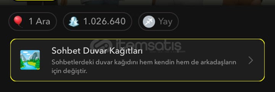 ⚡️ 1.02M Snap Puanlı Temiz Snapchat Hesabı ⚡️