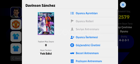 105 DAVİNSON SANCHEZLİ YENİ BAŞLAMALIK 