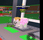 105K/S Gattatino Nyanino