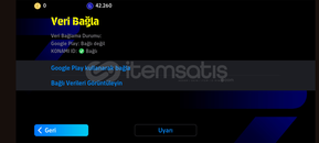 106 RUİ costali yamal paketli başlangıç hesabı 