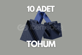 10x Celestibery Tohumu - En Ucuzu!!! 