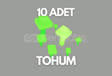 10x GlowShroom Tohumu - En Ucuzu!!! 