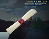 10x Prestige Scrolls | AOT:Revolution