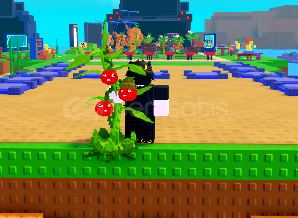 10x Tomatrio 10x Tomatrio