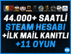 11 OYUNDAN 44.000+ SAATLİ STEAM HESABI+İLK MAİL