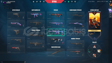 ⭐11 SKİN + ONE TAP VANDAL + DEMİR 2⭐