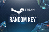 110$-200$ ARASI STEAM RANDOM KEY 2