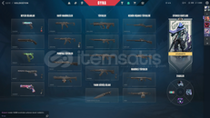 10 Desenli 81 lv Bronz 3 Mail Değişen Hesap