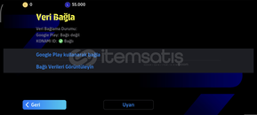 110 İBRAHİMOVİC TEK BAĞ