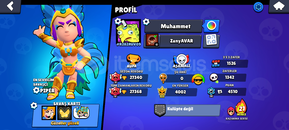 110 KOSTUMLÜ 67 KARAKTER 419 ELMAS VAR 27K