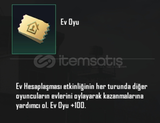 1100 Ev oyu