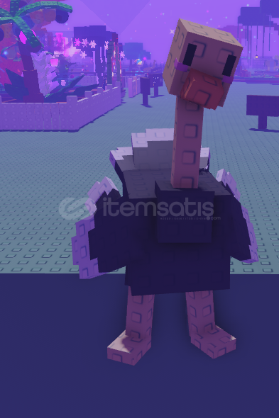 11.19 kg 42 yaş ostrich çok ucuz hızlı 11.19 kg 42 yaş ostrich çok ucuz hızlı