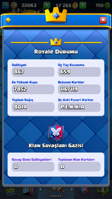 116 KARTLI 1 EVRİMLİ 6 YILLIK 7687 KUPA HESAP