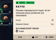 12 ADET KAYISI - HOROZ YÜKSELTMESİ