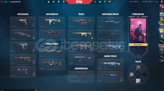 12 animaslonlu skini olan silver elo hesap