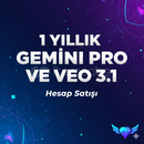  12 Ay Garantili Gemini Pro Veo 3.1